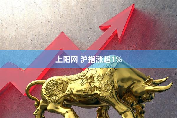 上阳网 沪指涨超1%
